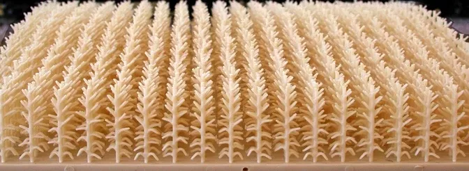 Bluford Shops HO 202 Cornstalks, Autumn Harvest (400)
