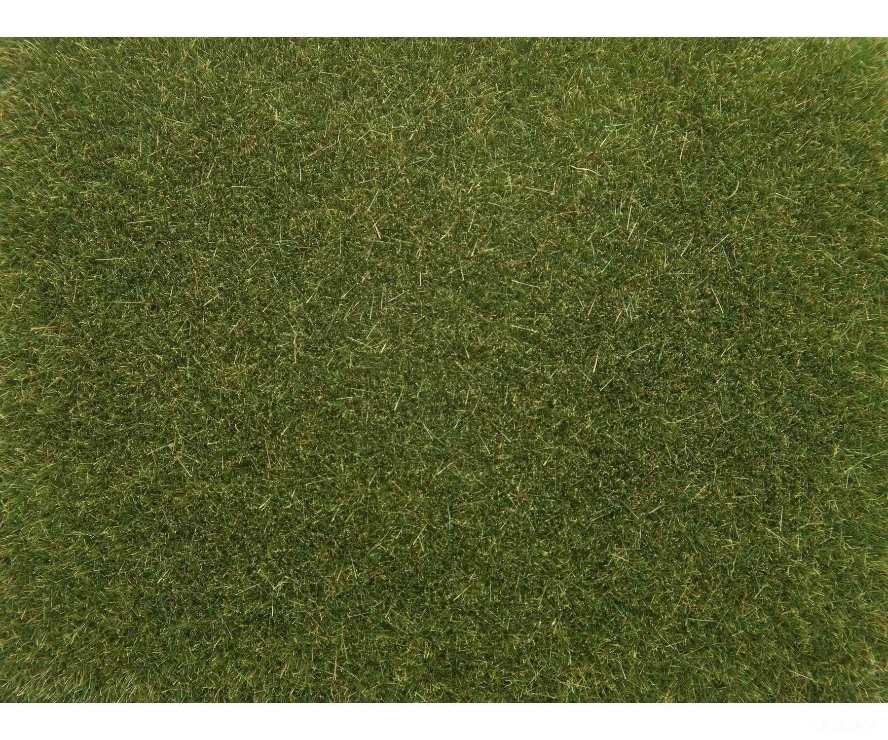 Noch 08364 HO, N, Z Scatter Grass, Medium Green