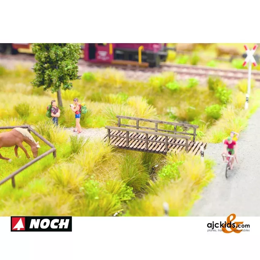 Noch 14620 – Small Footbridge