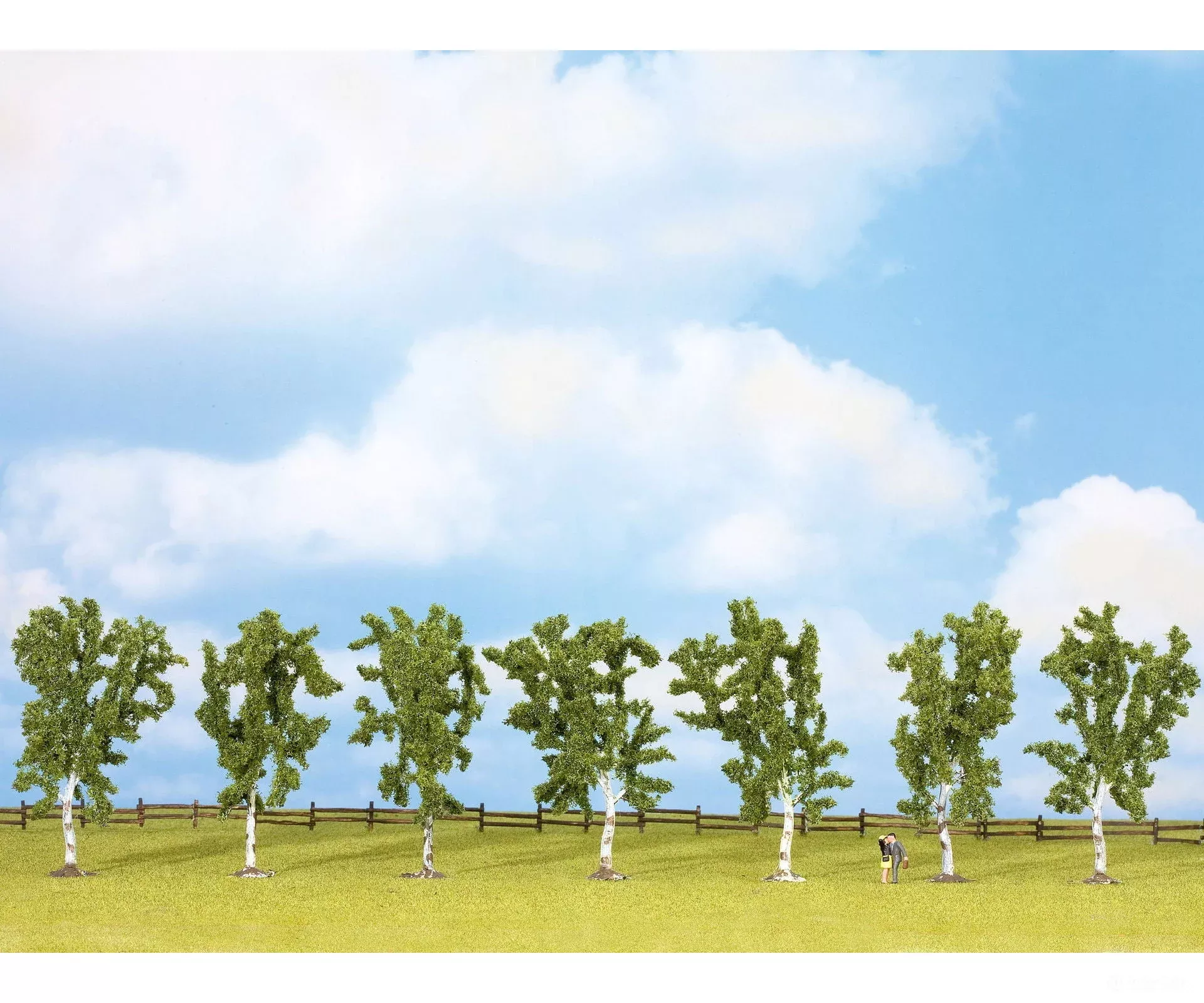 Noch 25096 HO, N, Z Birch Trees
