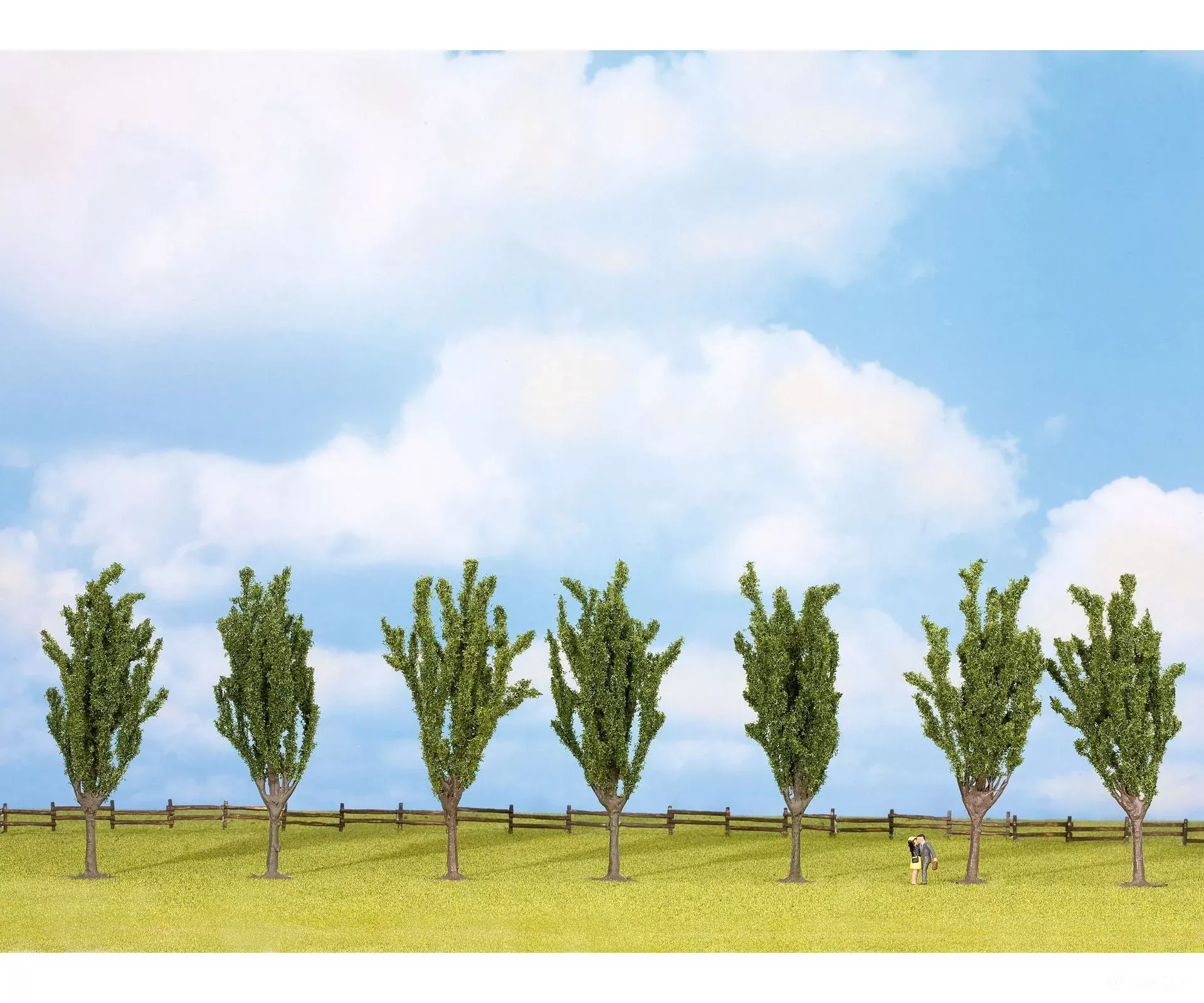 Noch 25098 HO, N, Z Poplar Trees