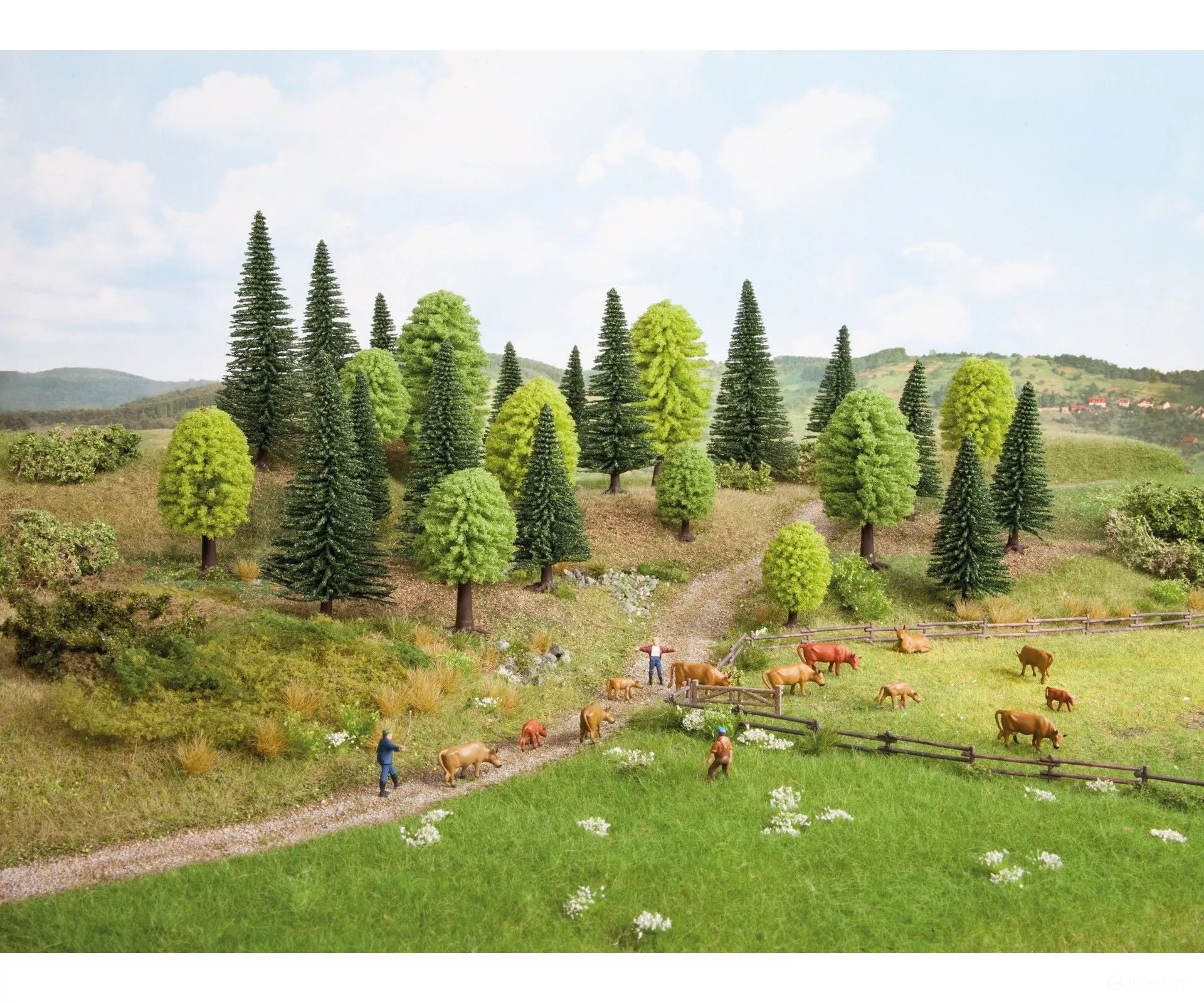 Noch 32811 N, Z Mixed Forest
