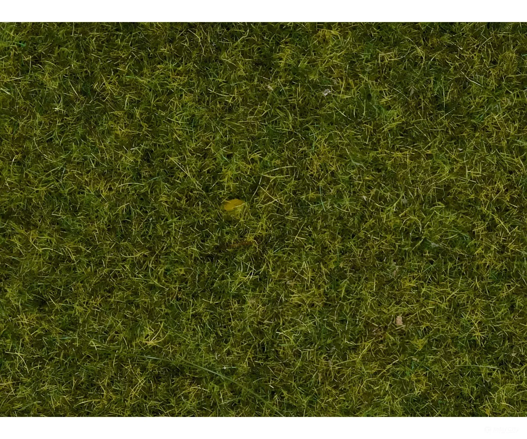 Noch 50220 HO, N, Z Scatter Grass “Meadow”